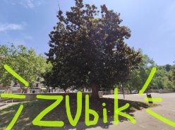 ZUbik magnoliatan = ZUbik en los magnolios