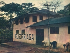 Kakaoa, alkohola eta eboga = Cacao, alcohol y eboga = Cocoa, alcohol and iboga