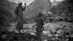 Cadabra-abra : Magia Lucana + Socotra, la isla de los genios